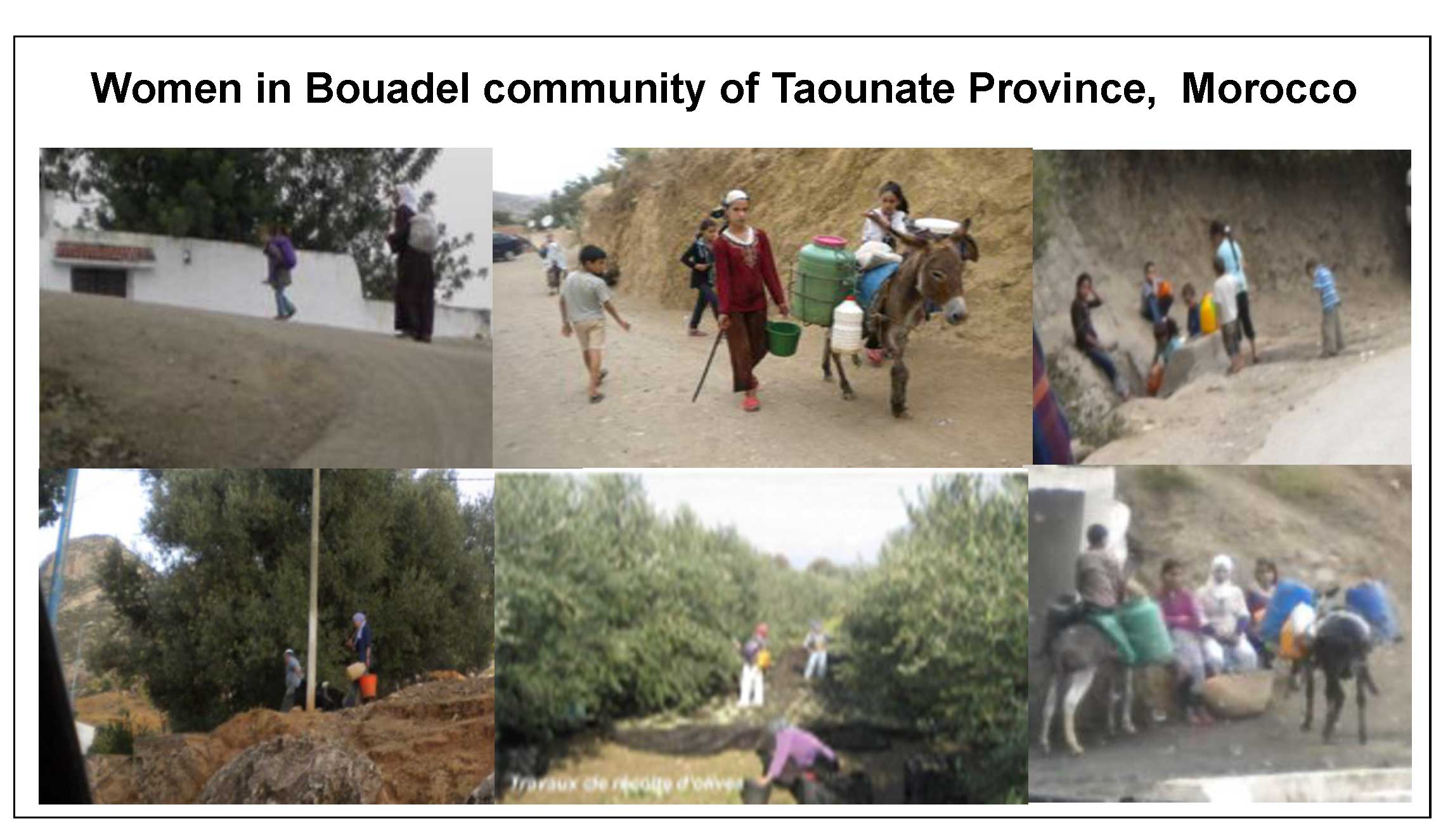 Education, Illiteracy and Women in Rural Morocco: Case Study of Taounate Province 