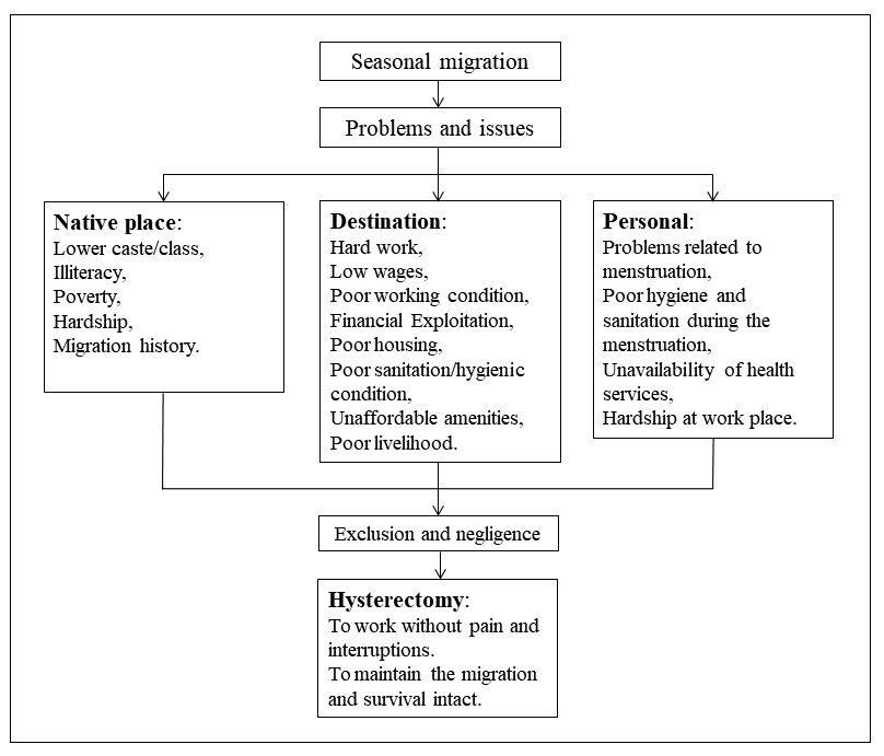 Insights on the Practice of Hysterectomy among the Women Sugarcane Cutters in Maharashtra (India)