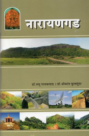 नारायणगड