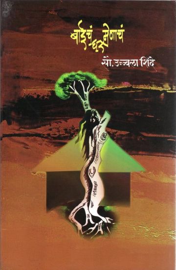 बाईचं घर मेणाचं