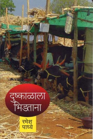 दुष्काळाला भिडताना 